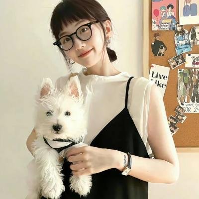胭脂虎新传